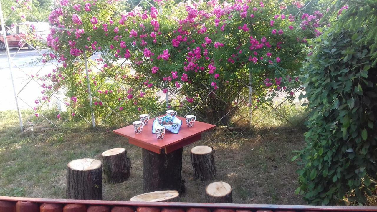 Apartament Dom Na Ludowo w Brzeźnicy Brzeznica  Zewnętrze zdjęcie