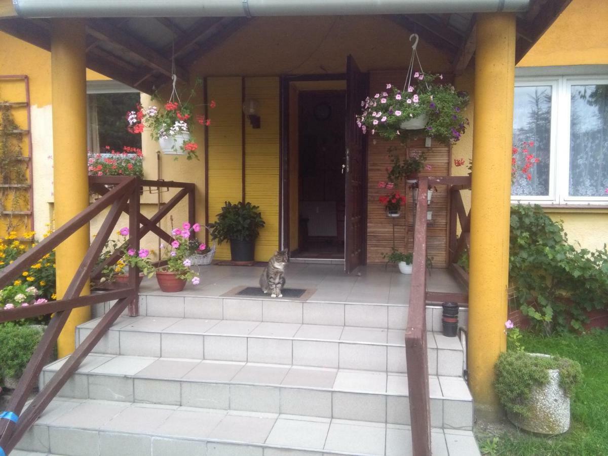 Apartament Dom Na Ludowo w Brzeźnicy Brzeznica  Zewnętrze zdjęcie